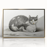 Classic Romantic Paintings - Lying Cat Illustration Wall Art