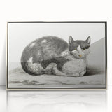 Classic Romantic Paintings - Lying Cat Illustration Wall Art