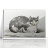 Classic Romantic Paintings - Lying Cat Illustration Wall Art