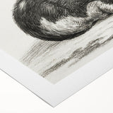 Classic Romantic Paintings - Lying Cat Illustration Wall Art
