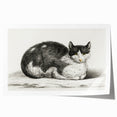 Classic Romantic Paintings - Lying Cat Illustration Wall Art