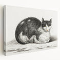Classic Romantic Paintings - Lying Cat Illustration Wall Art