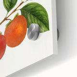 Large abstract wall art featuring a close-up of assorted fruits in vibrant colors on acrylic glass.