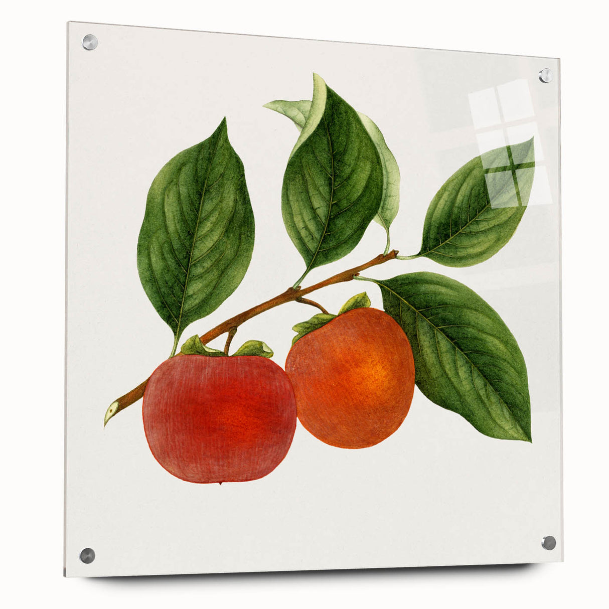 Acrylic glass print of colorful abstract fruit design, ideal for dining room decor.