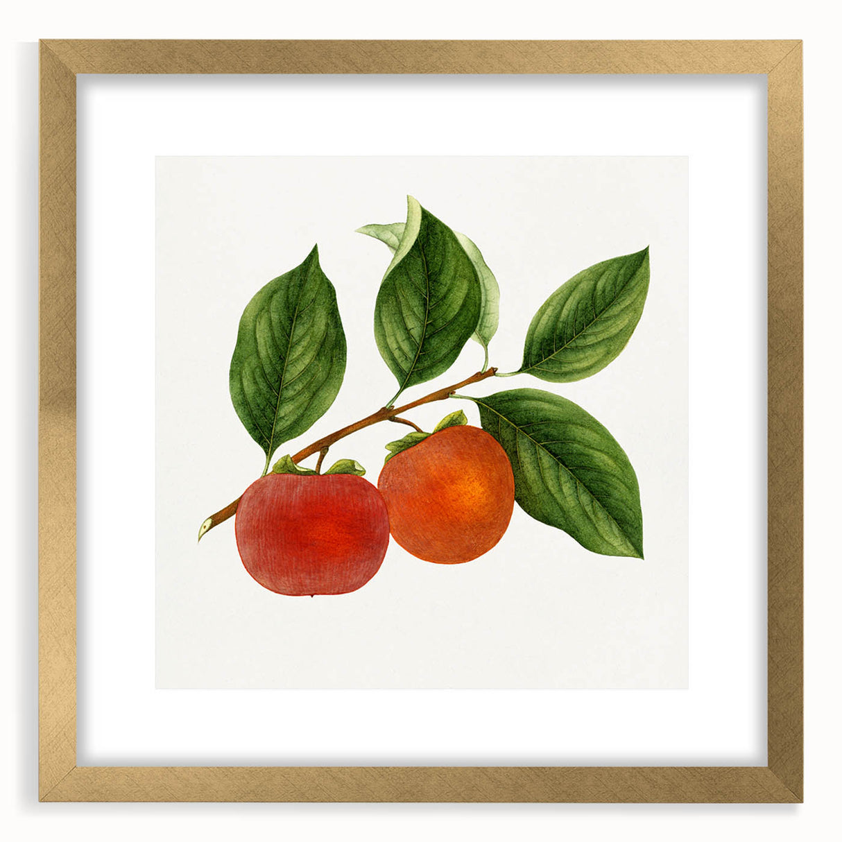 Extra large abstract art print featuring textured design of assorted fruits in vibrant colors, framed in gold.