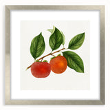 Textured art print of abstract fruits in muted earth tones, framed in silver, ideal for bedroom decor.