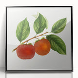 Large abstract wall art featuring vibrant fruit motifs in a mid-century modernist style, framed in black acrylic.