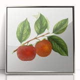 Mid-century modernist art featuring an array of fruits in vibrant colors, framed in silver acrylic.