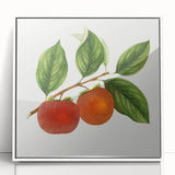 Art deco poster featuring an array of colorful fruits on a white acrylic framed print, suitable for modern nursery decor.