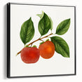 Black and white landscape art painting of fruits on framed canvas, ideal for bedroom wall decor.