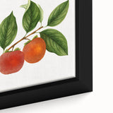 Extra large black wall art on canvas featuring a close-up of colorful, textured fruits, ideal for living room decor.