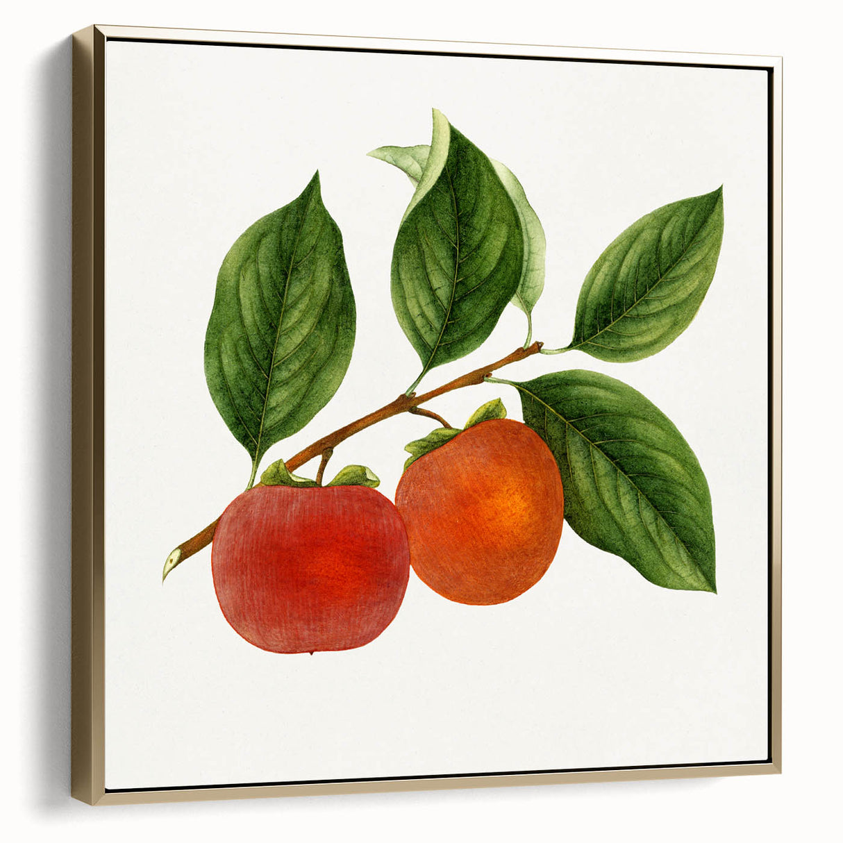 Framed canvas featuring a vintage poster of assorted fruits in silver and gold tones, ideal for bedroom wall decor.
