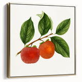 Framed canvas featuring a vintage poster of assorted fruits in silver and gold tones, ideal for bedroom wall decor.