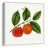 Vintage poster art of colorful fruits on a black background, framed canvas, ideal for living room decor.