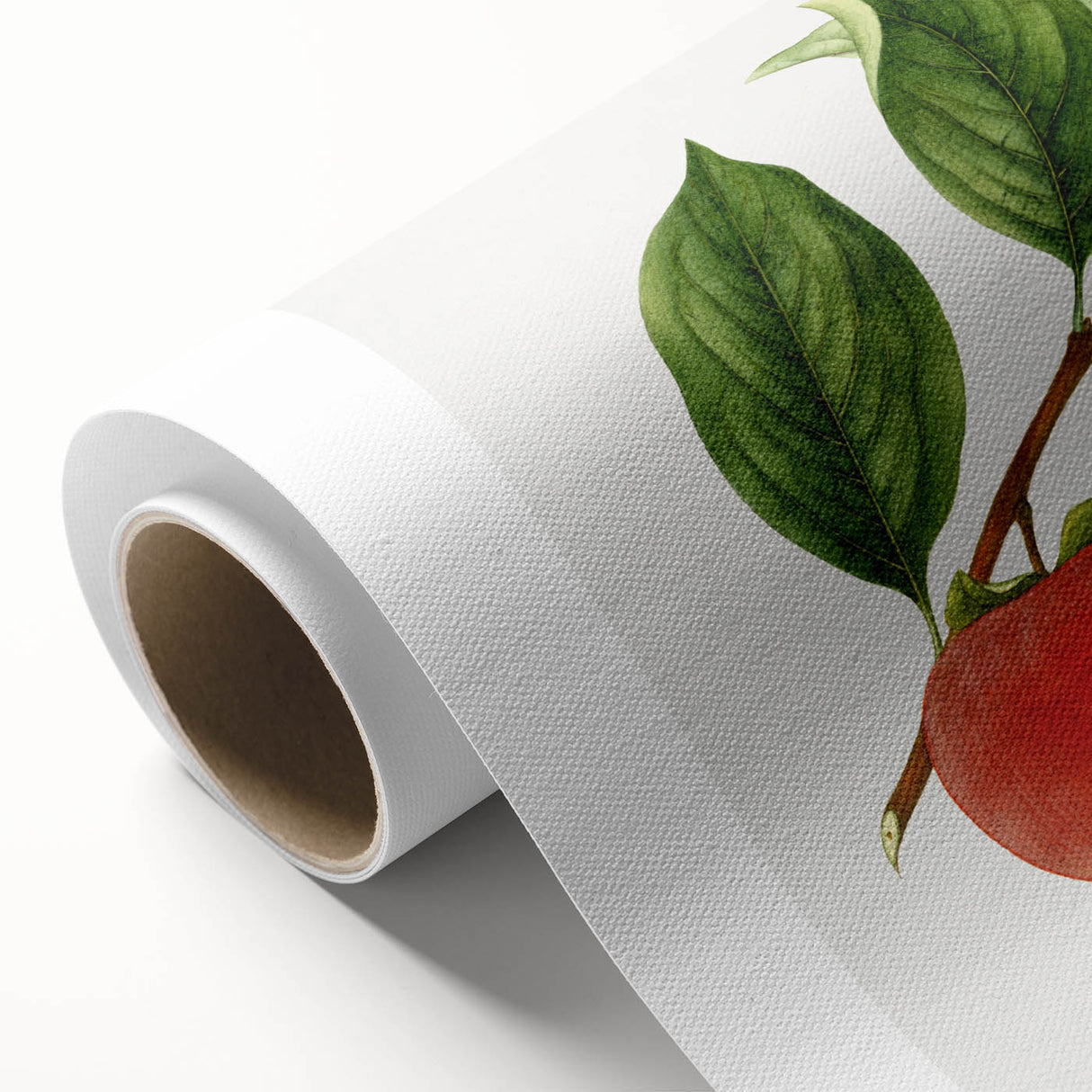 Art Deco style poster featuring an array of colorful fruits on rolled canvas, ideal for nursery wall art.
