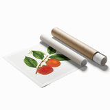Extra large rolled print featuring an array of vibrant, colorful fruits.