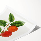 Extra large wall art featuring line art flowers in black on white, rolled print format, ideal for large living room decor.