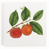 Black and white stretched canvas featuring an assortment of fruits, ideal for kitchen wall art.
