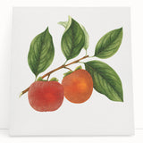 Large black and white stretched canvas featuring assorted fruits, ideal for kitchen wall art.