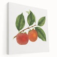 Large canvas wall art featuring an array of colorful fruits, ideal for kitchen decor.