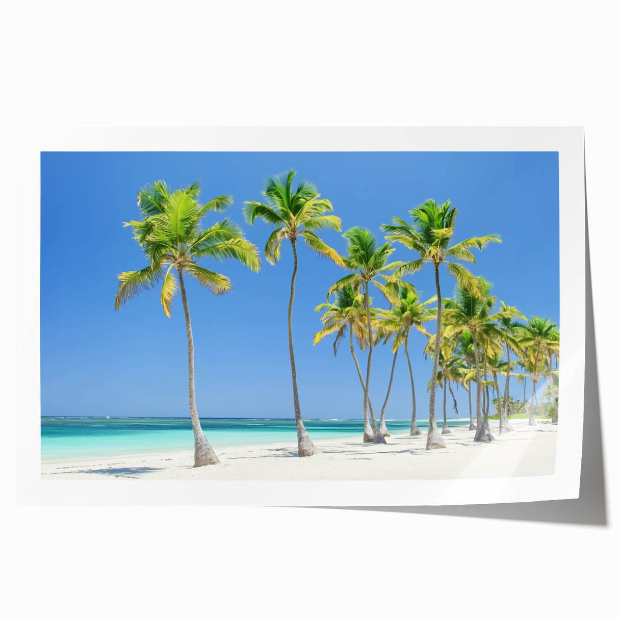 Rolled landscape print showcasing a serene beach scene with soft waves and golden sand, elegantly packaged in a protective cardboard tube for easy display.
