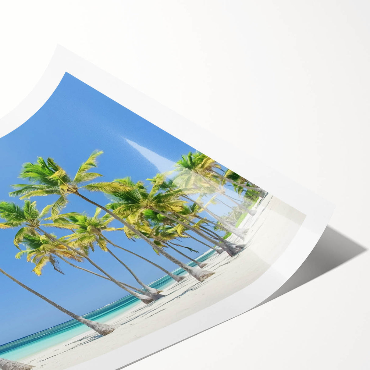 Serene beach landscape rolled print showcasing vibrant colors of ocean waves and sandy shores, elegantly packaged in a protective cardboard tube for easy display.