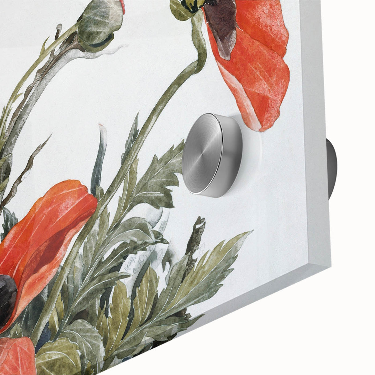 Modern Wall Art of Red Poppies - Contemporary Floral Watercolor