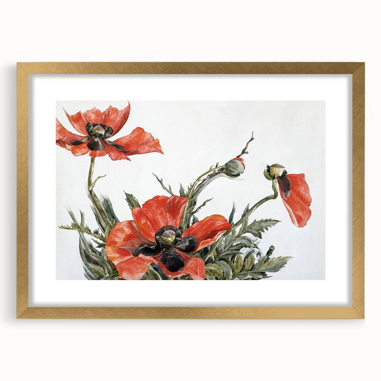 Modern Wall Art of Red Poppies - Contemporary Floral Watercolor