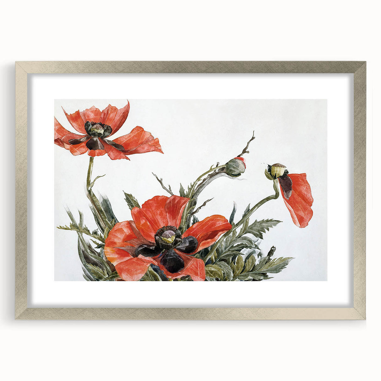 Modern Wall Art of Red Poppies - Contemporary Floral Watercolor