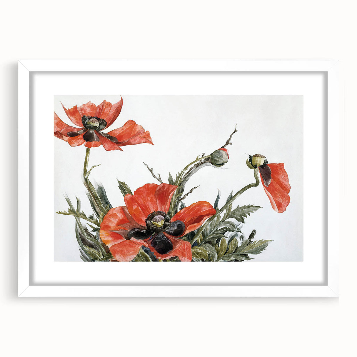 Modern Wall Art of Red Poppies - Contemporary Floral Watercolor