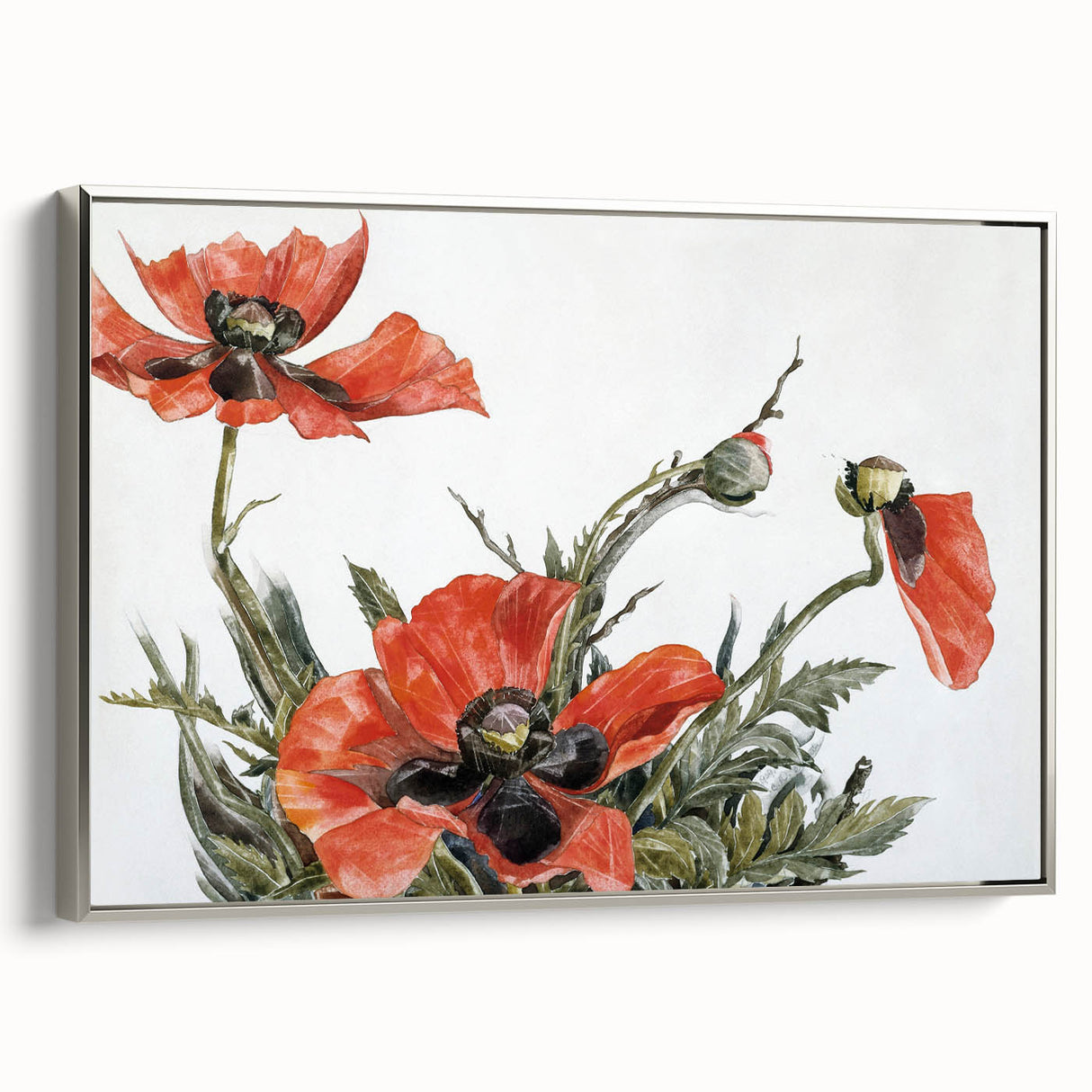 Modern Wall Art of Red Poppies - Contemporary Floral Watercolor