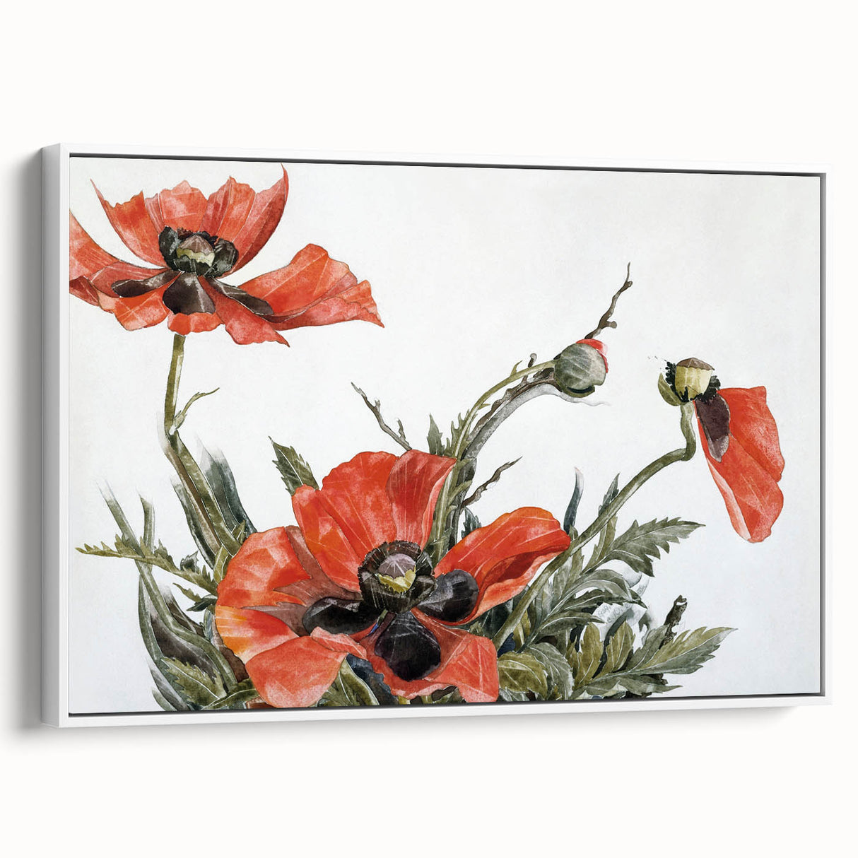 Modern Wall Art of Red Poppies - Contemporary Floral Watercolor