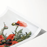 Modern Wall Art of Red Poppies - Contemporary Floral Watercolor