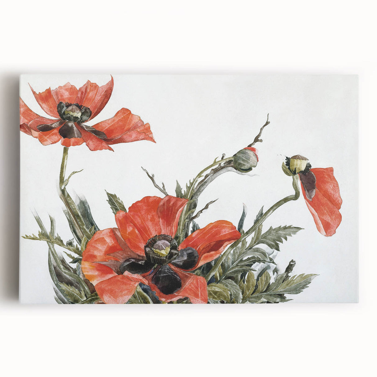 Modern Wall Art of Red Poppies - Contemporary Floral Watercolor