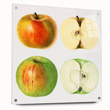 Large abstract wall art featuring an array of colorful fruits on acrylic glass, ideal for dining room decor.