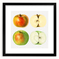 Extra large abstract art print of vibrant, colorful fruits on textured canvas, framed with a black mat.