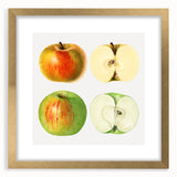 Extra large abstract art print featuring textured fruits in vibrant colors, framed in gold, ideal for living room decor.