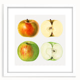 Abstract art print featuring assorted fruits in vibrant colors on a white framed mat, ideal for dining room decor.