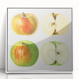 Acrylic framed modern art wall decor featuring vibrant colored fruits on a white background, suitable for nursery.