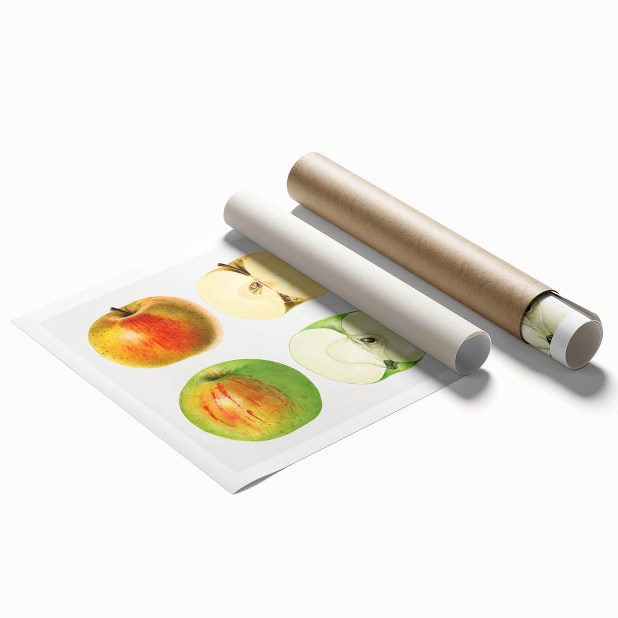 Extra large rolled canvas print featuring a variety of colorful fruits on a white background.