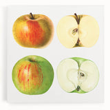 Large black and white wall art on canvas featuring assorted fruits, ideal for kitchen wall decor.