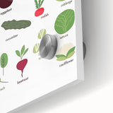 Vegetables Kids Educational Wall Art - Learning Poster for Classrooms