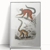 Classic Romantic Paintings: Lemurs - Historical Romanticism Canvas