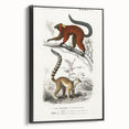 Classic Romantic Paintings: Lemurs - Historical Romanticism Canvas