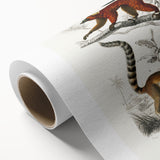 Classic Romantic Paintings: Lemurs - Historical Romanticism Canvas