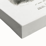 Classic Romantic Paintings: Lemurs - Historical Romanticism Canvas