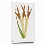 Elegant Realism Art Print – Staghorn Fern by Edward Joseph Lowe