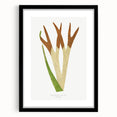 Elegant Realism Art Print – Staghorn Fern by Edward Joseph Lowe