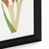Elegant Realism Art Print – Staghorn Fern by Edward Joseph Lowe