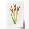 Elegant Realism Art Print – Staghorn Fern by Edward Joseph Lowe